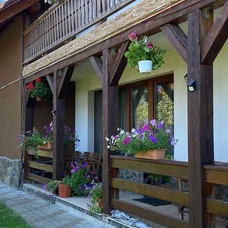 Pensiunea Rares Bistrita Bargaului Экстерьер фото