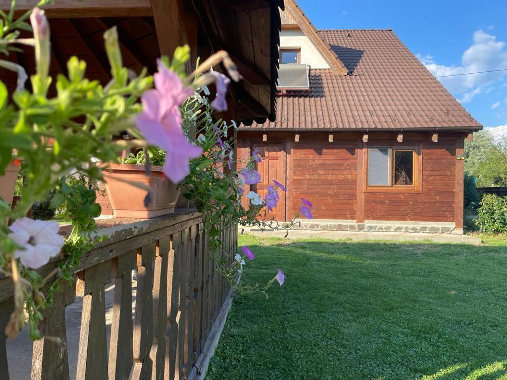 Pensiunea Rares Bistrita Bargaului Экстерьер фото