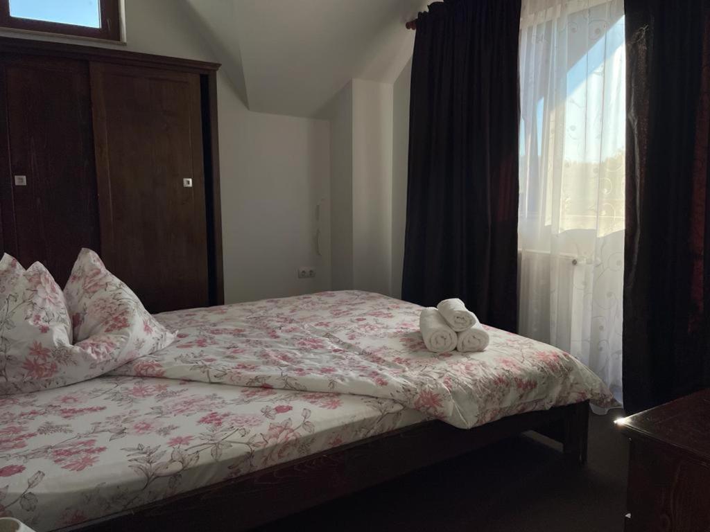 Pensiunea Rares Bistrita Bargaului Экстерьер фото